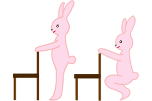 お腹/背中/お尻/足の筋肉を鍛える