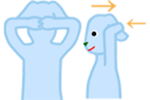 【3】 首 (後部)・肩・背中の筋肉を鍛える