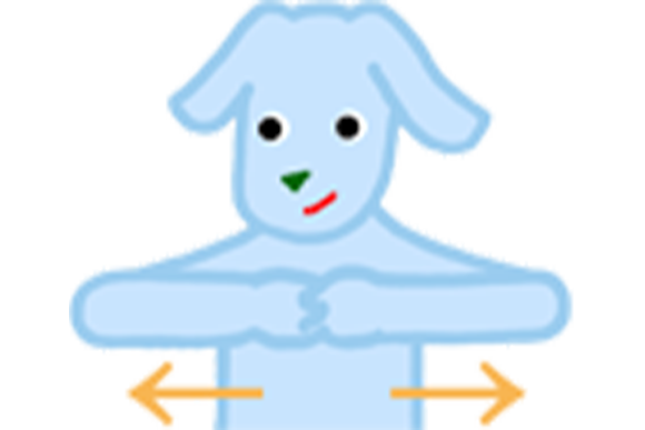 【5】 首・肩・背中の筋肉を鍛える
